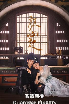 湖南天眼seo优化代理